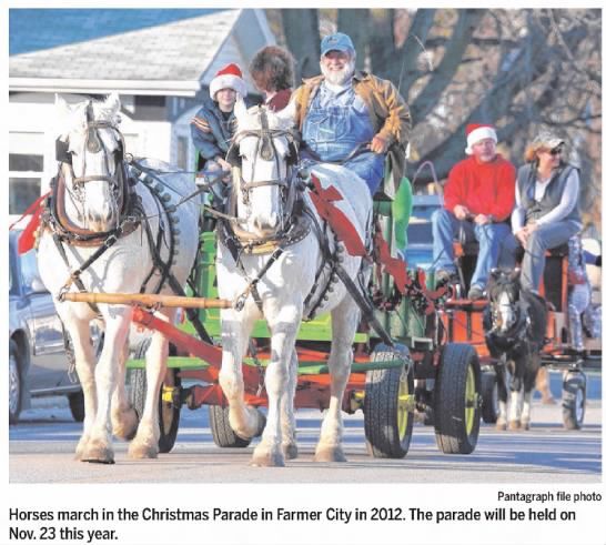 Horses march in the Christmas Parade